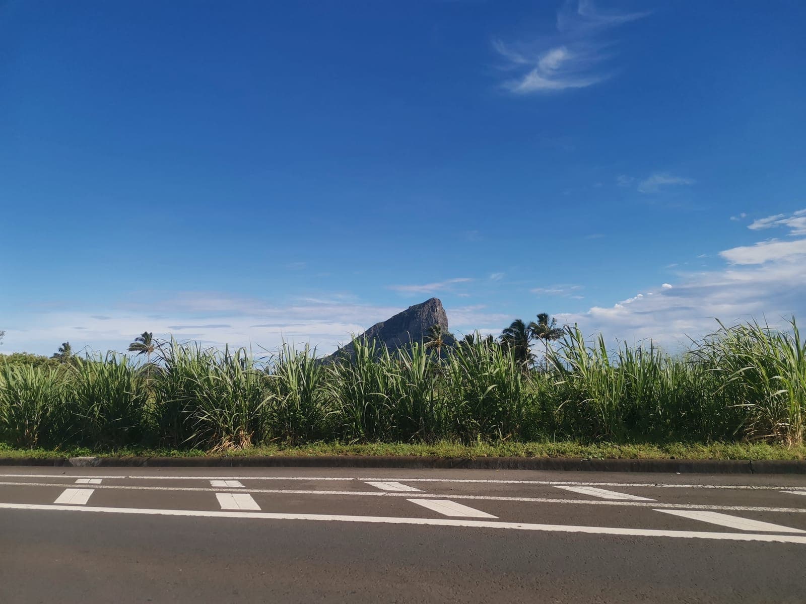 First morning, 8:30 am. Sugar cane fields, and the mountains already.