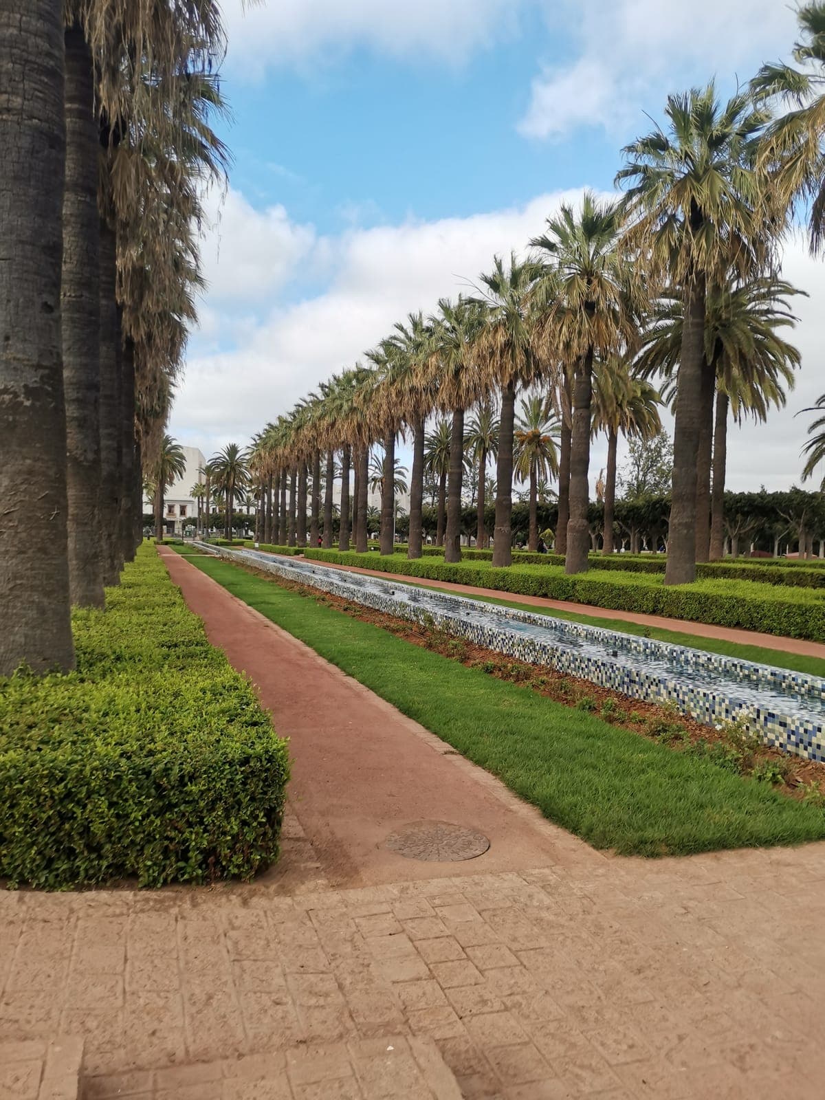 The palms of the Arab League Park, and the Morocco Mall aquarium.