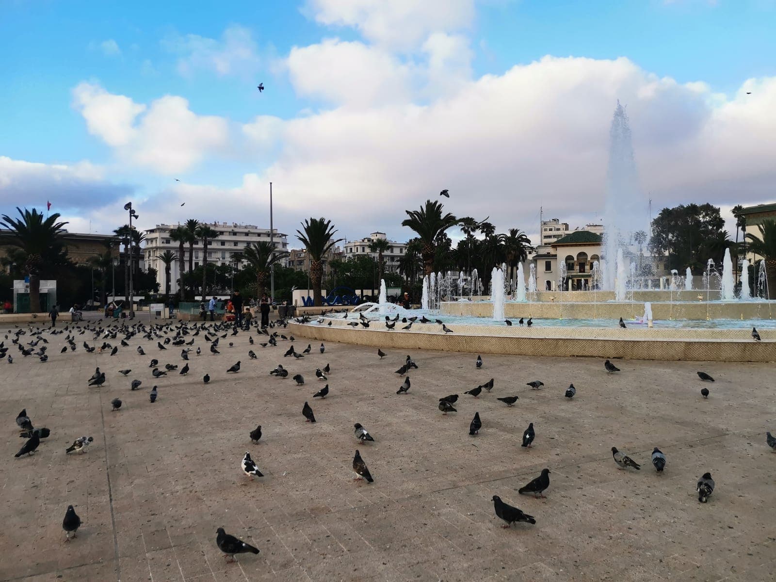 7:49 pm, the pigeons of Mohammed V Square.