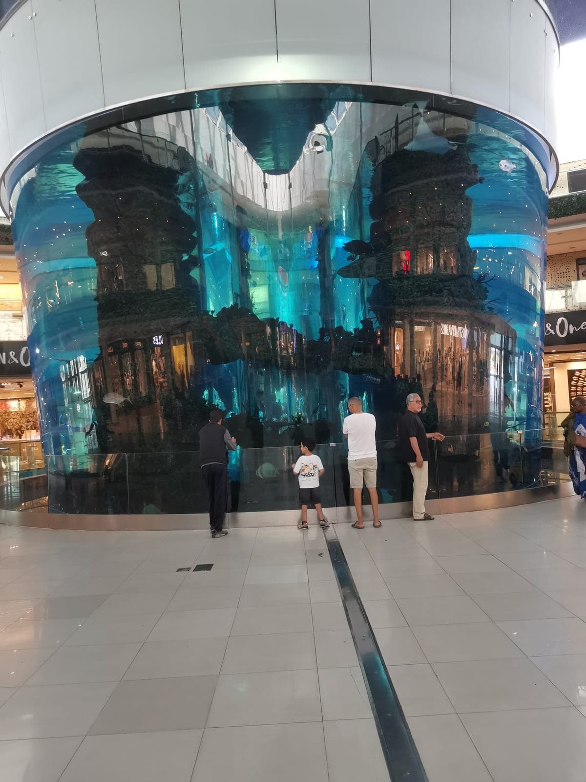 The palms of the Arab League Park, and the Morocco Mall aquarium.