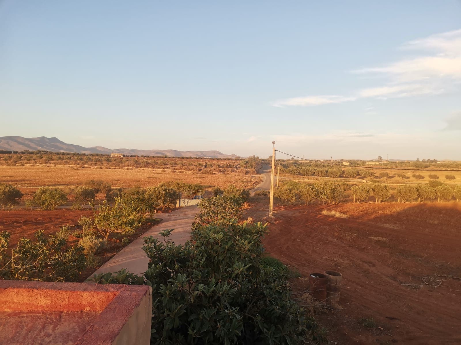 24 June, 8 pm. The Oriental countryside at sunset.