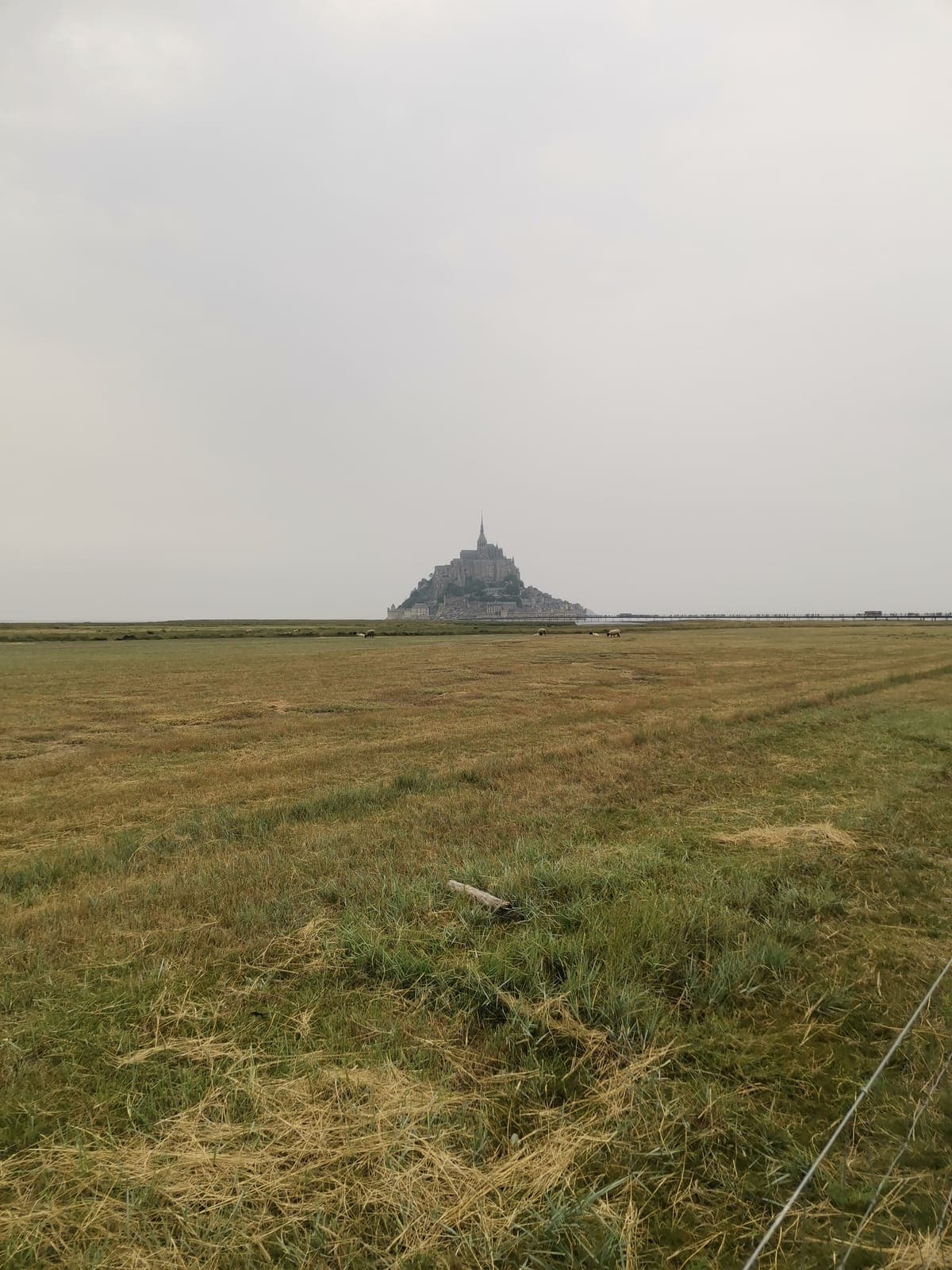 Mont-Saint-Michel across the fields