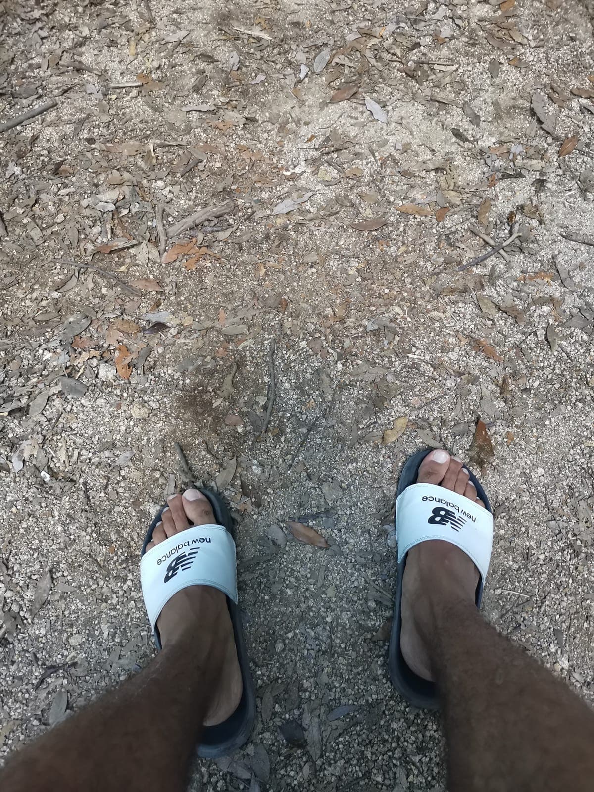 Climbing gear for Mount Misen: slides.