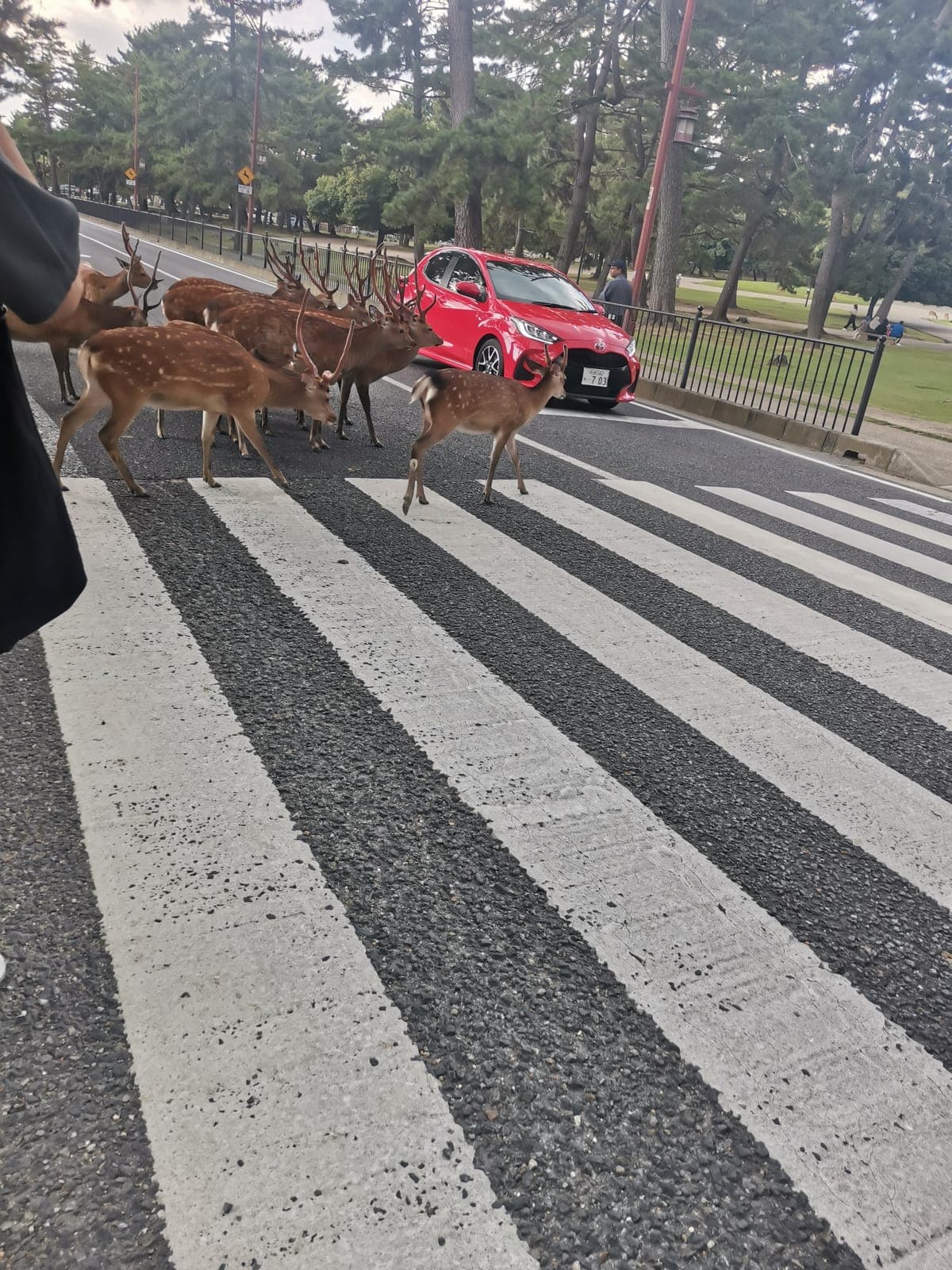 Rush hour.