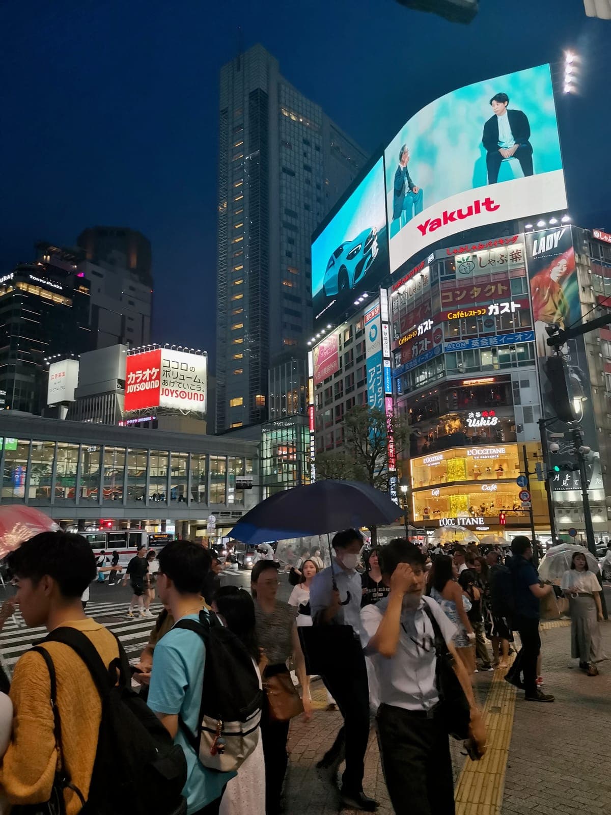 Akihabara in the rain at noon, Shibuya in the rain at night.
