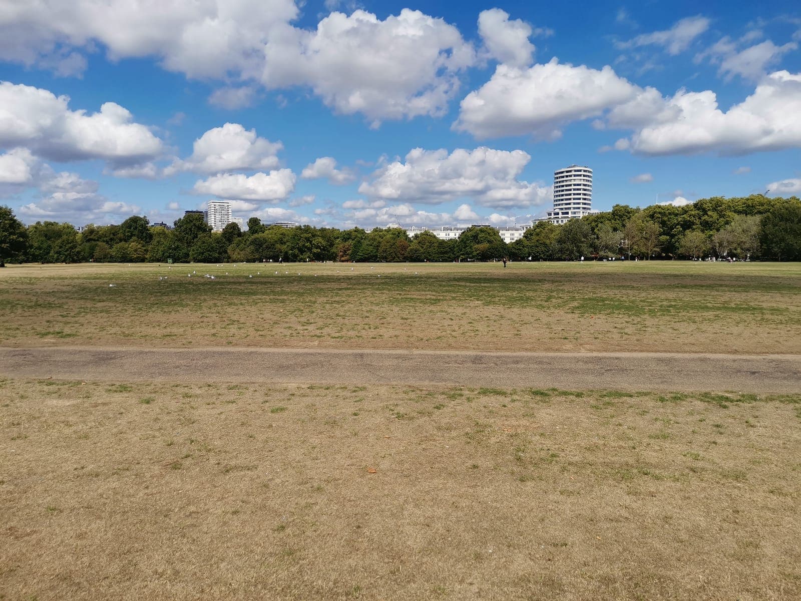 The Serpentine, then lawns burnt yellow by the summer of 2022.