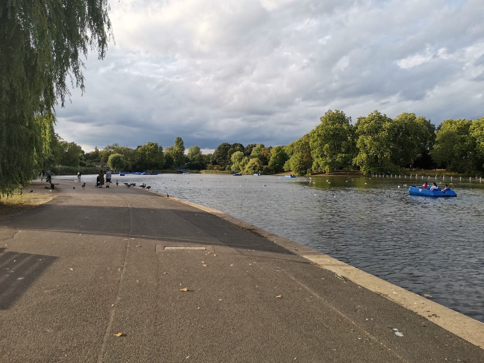 6:22 pm. The lake in Regent’s Park, a quiet break.
