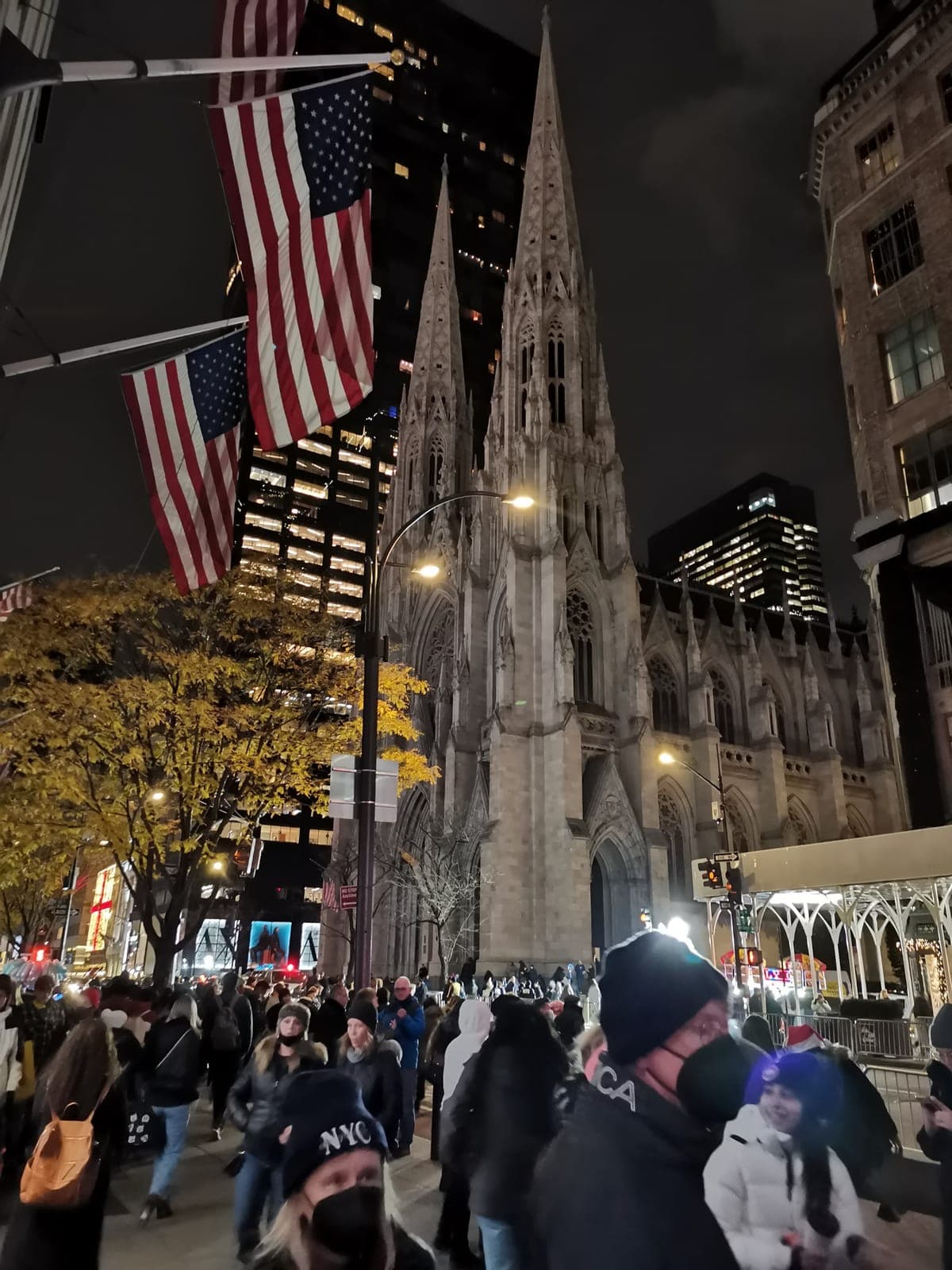 St. Patrick’s Cathedral, then the Public Library.